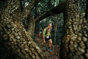 BIB: 
                            <button type="button" onclick="openModal(25668106)" class="btn btn-primary btn-sm float-right btn-popup" data-toggle="modal" data-target=".modal-high-quality">
                        <i class="fas fa-shopping-cart"></i> Add to Cart
                    </button>
                                            <button type="button" onclick="isThisMe(25668106, true)" class="btn btn-success btn-sm float-right btn-popup btn-isme hidden" data-toggle="tooltip" data-placement="bottom" title="นี่คือรูปของคุณใช่ไหม คลิกที่นี่เพื่อเอาเข้าอัลบั้ม">
                        <i class="fas fa-plus"></i> Add to album
                    </button>
                    <button type="button" onclick="isThisMe(25668106, false)" class="btn btn-warning btn-sm float-right btn-popup btn-isnotme hidden">
                        <i class="fas fa-ban"></i> Remove from album
                    </button>